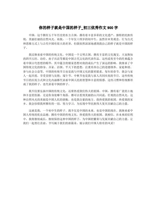 你的样子就是中国的样子_初三优秀作文900字
