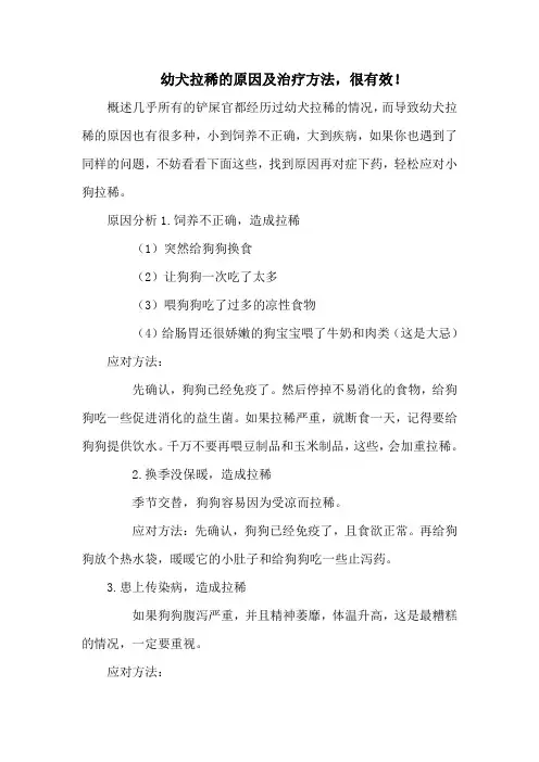 幼犬拉稀的原因及治疗方法,很有效!