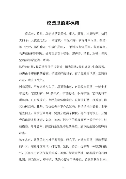 校园里的那棵树