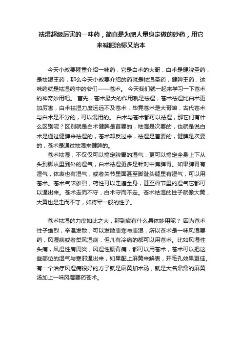 祛湿超级厉害的一味药，简直是为肥人量身定做的妙药，用它来减肥治标又治本