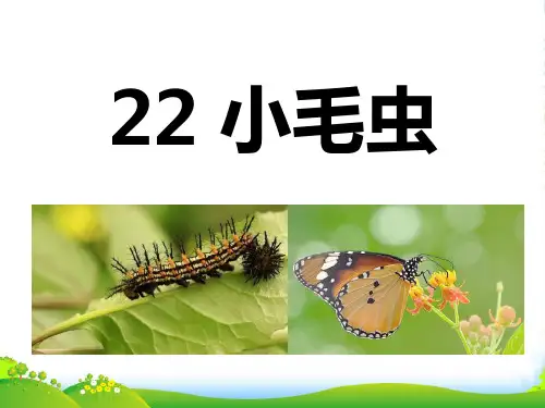 2024年部编版二年级语文22小毛虫课件
