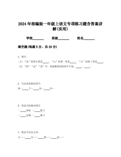 2024年部编版一年级上语文专项练习题含答案讲解(实用)
