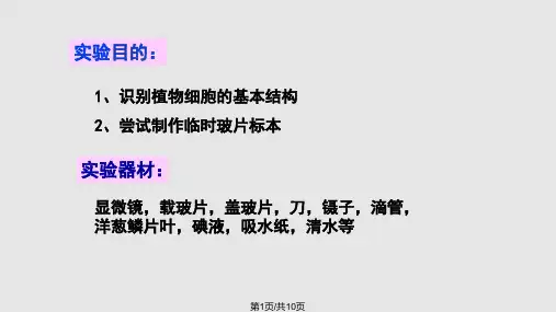 观察洋葱鳞片叶表皮细胞的结构PPT课件