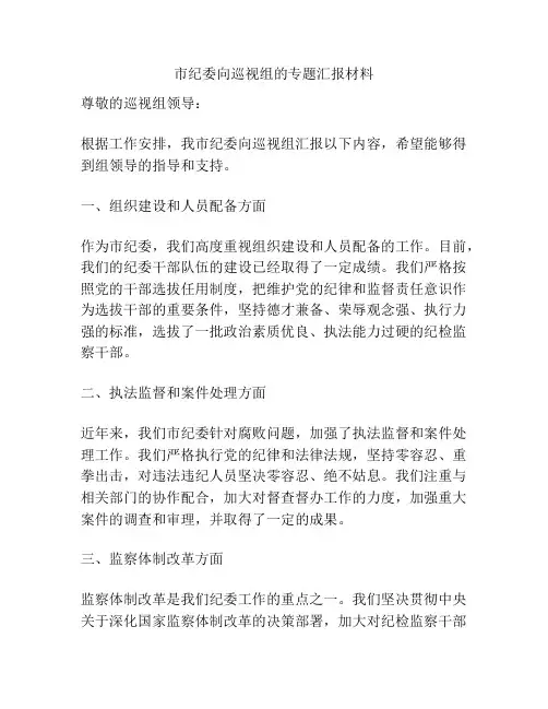 市纪委向巡视组的专题汇报材料
