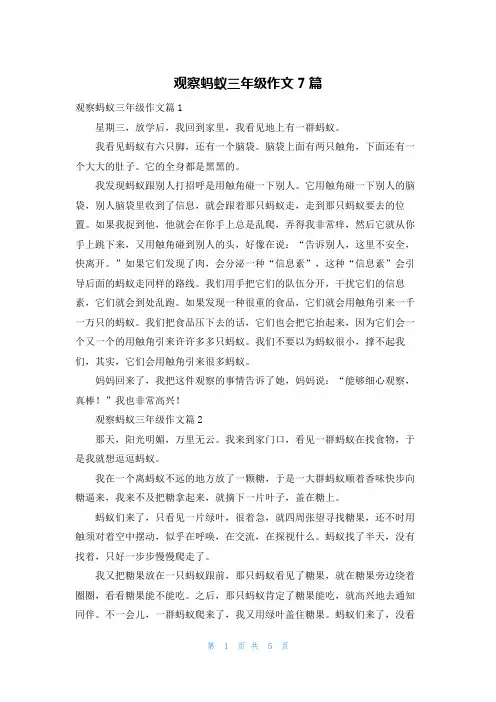 观察蚂蚁三年级作文7篇