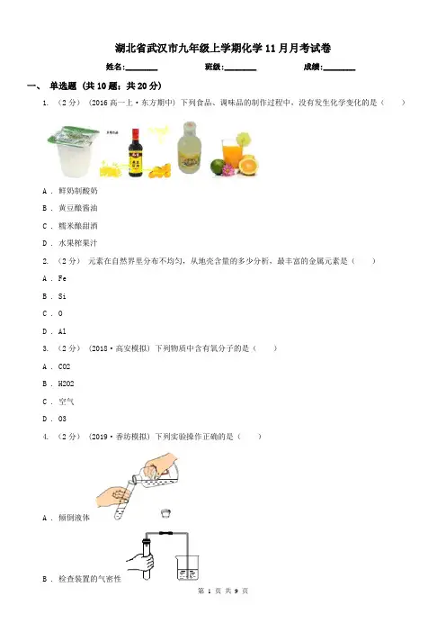 湖北省武汉市九年级上学期化学11月月考试卷