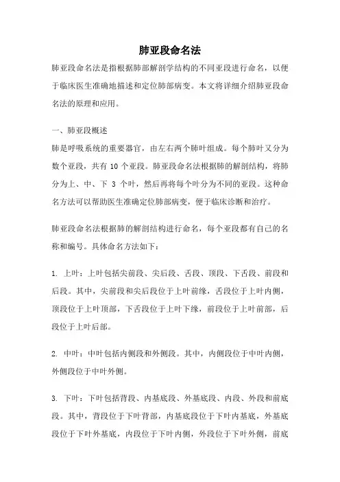 肺亚段命名法