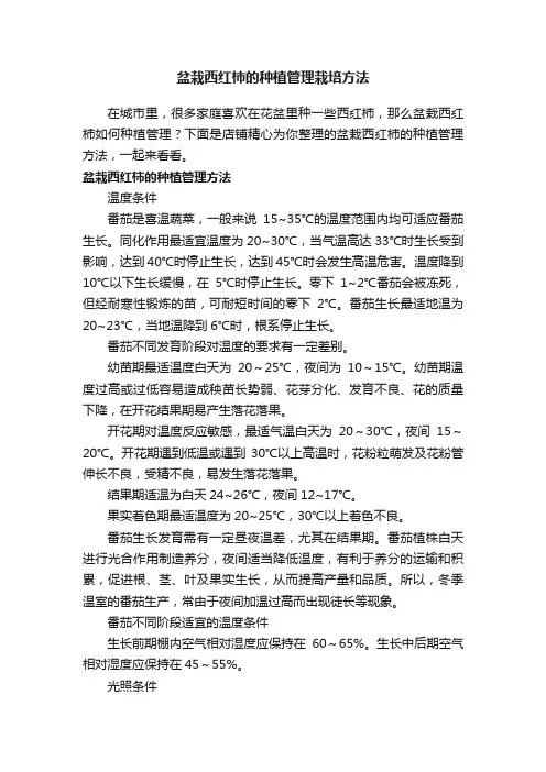 盆栽西红柿的种植管理栽培方法