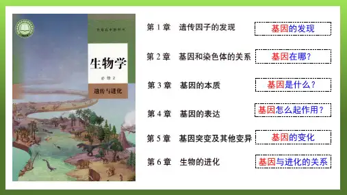 孟德尔的豌豆杂交实验(一)基础知识