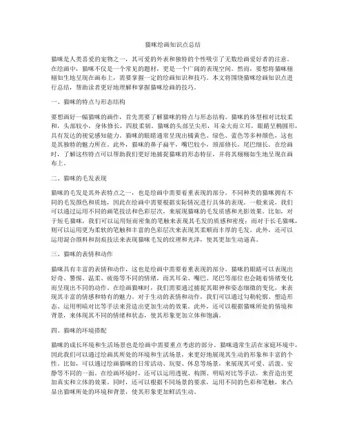猫咪绘画知识点总结