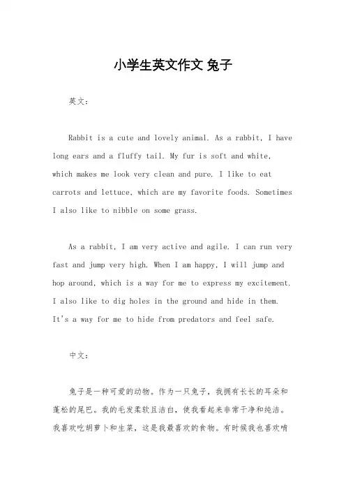 小学生英文作文 兔子