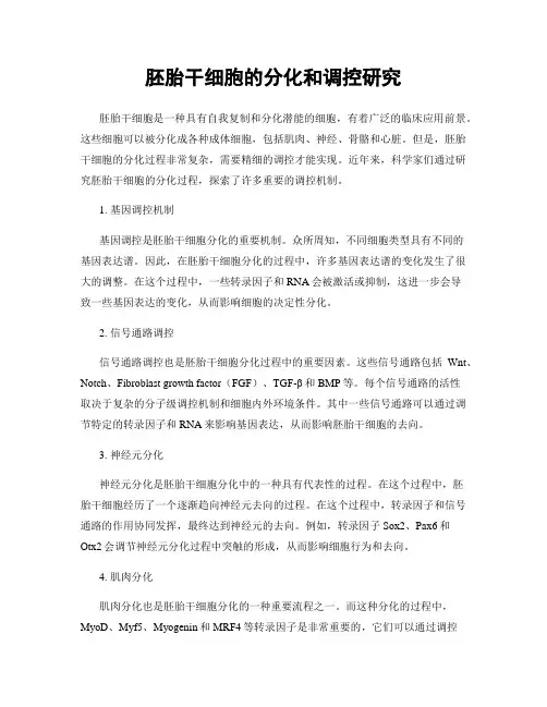 胚胎干细胞的分化和调控研究