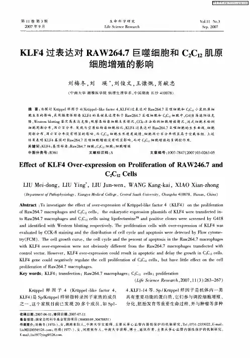 KLF4过表达对RAW264.7巨噬细胞和C2C12肌原细胞增殖的影响