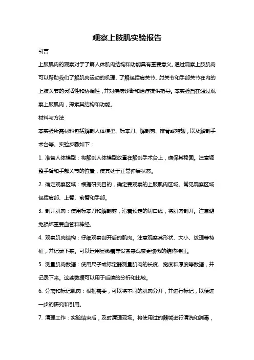 观察上肢肌实验报告