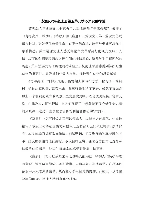 苏教版六年级上册第五单元核心知识结构图