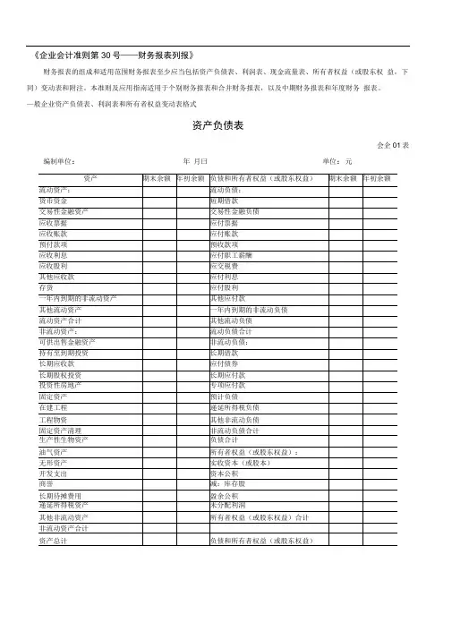 财务报表标准格式 完整版