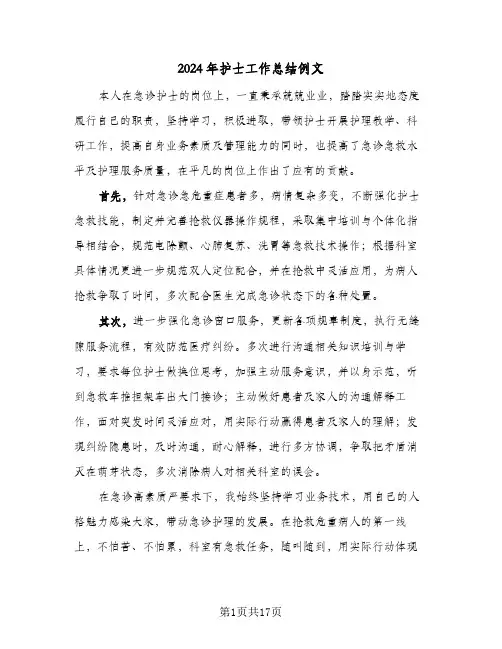 2024年护士工作总结例文(6篇)