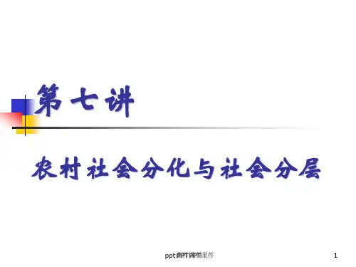 第七讲 农村社会分化与社会分层  ppt课件