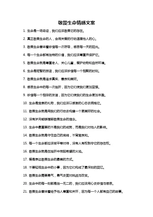 敬畏生命情感文案