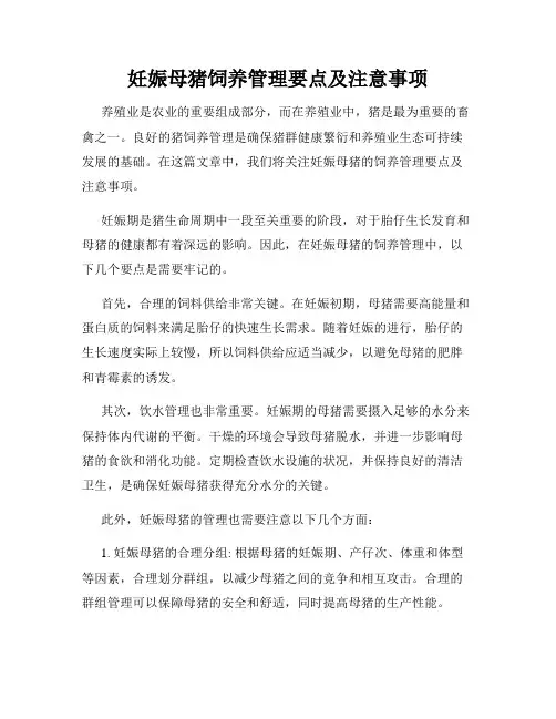 妊娠母猪饲养管理要点及注意事项
