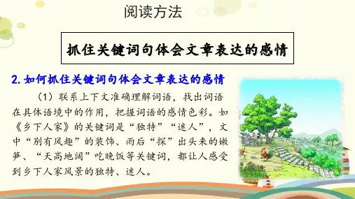 【读写策略】抓住关键词句体会文章表达的感情完整版课件