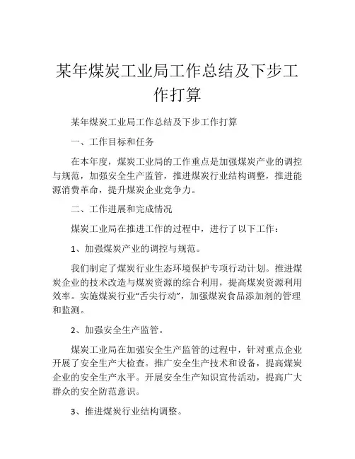 某年煤炭工业局工作总结及下步工作打算