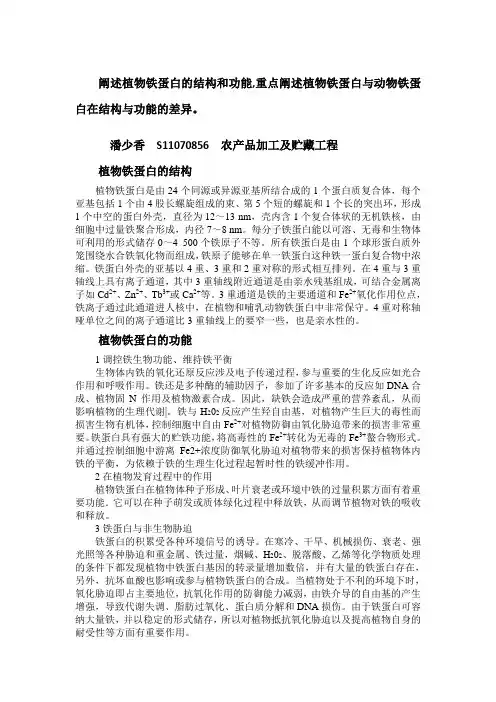 植物蛋白与动物蛋白