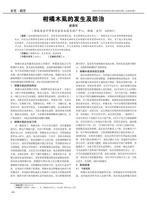 柑橘木虱的发生及防治