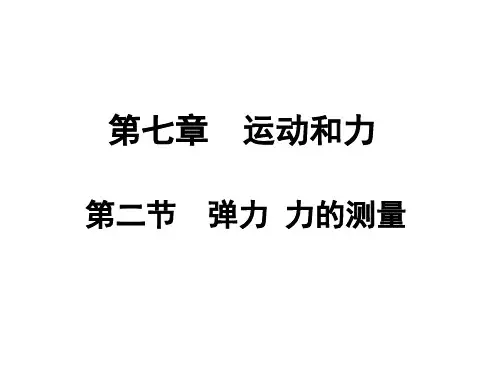 弹力 力的测量