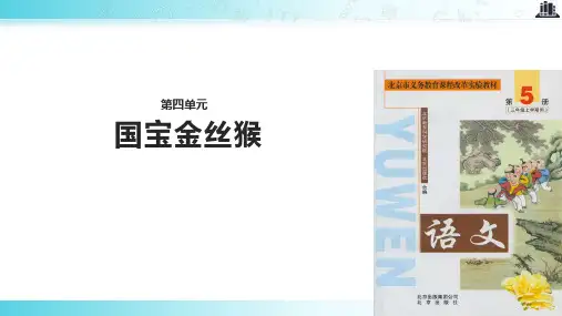 【309教育网优选】北京版小学语文三年级上册《国宝金丝猴》.pptx教学课件