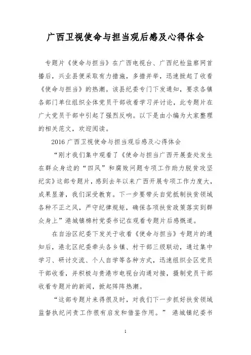 广西卫视使命与担当观后感及心得体会