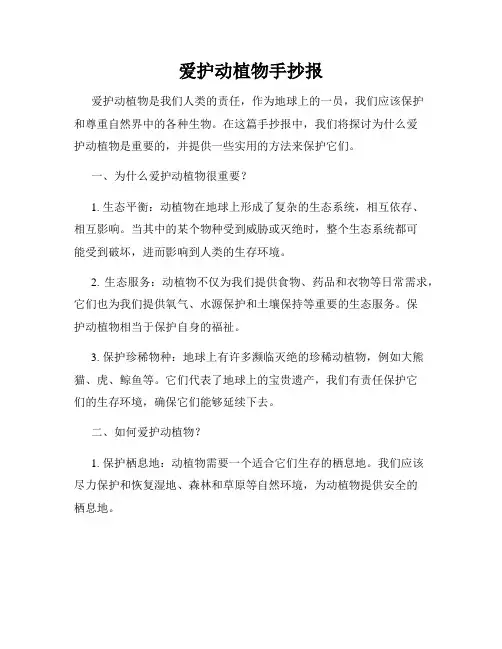 爱护动植物手抄报