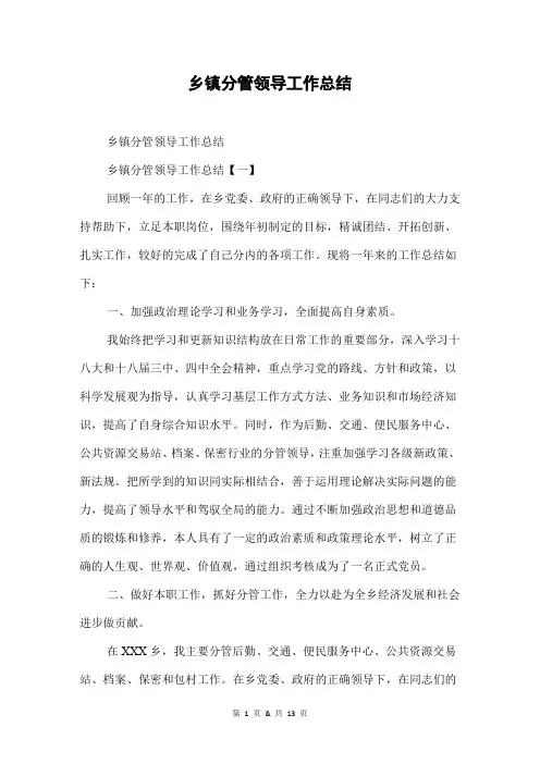 乡镇分管领导工作总结