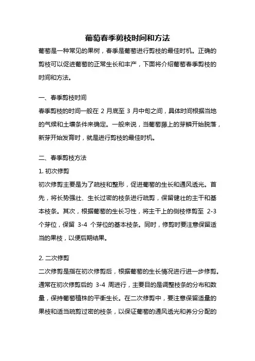 葡萄春季剪枝时间和方法