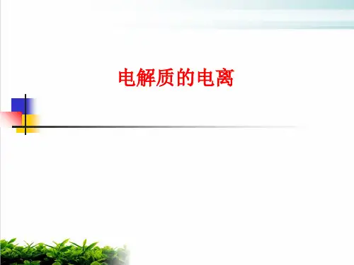 《电解质》PPT优秀课件全文