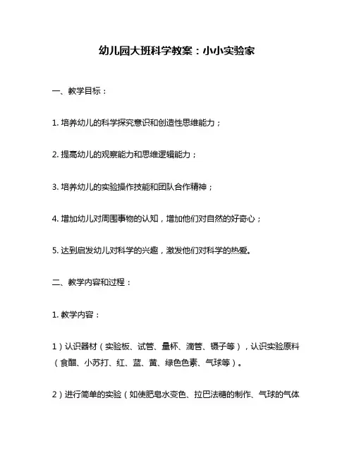 幼儿园大班科学教案：小小实验家