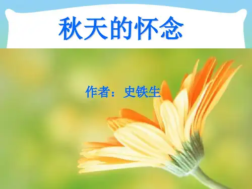 人教版七年级语文上册《秋天的怀念》优质课课件(共15张PPT)