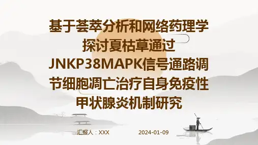 基于荟萃分析和网络药理学探讨夏枯草通过JNKP38MAPK信号通路调节细胞凋亡治疗自身免疫性甲状腺炎