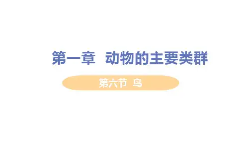 人教版生物八年级上册.6鸟课件