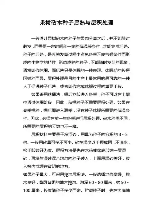 果树砧木种子后熟与层积处理