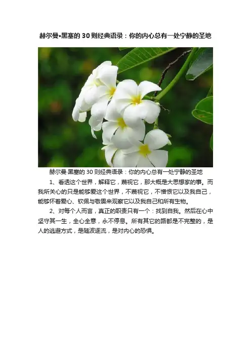 赫尔曼·黑塞的30则经典语录：你的内心总有一处宁静的圣地