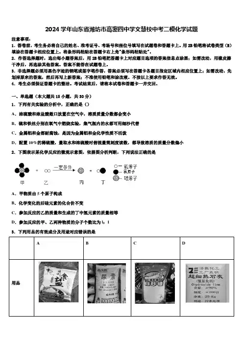 2024届山东省潍坊市高密四中学文慧校中考二模化学试题含解析