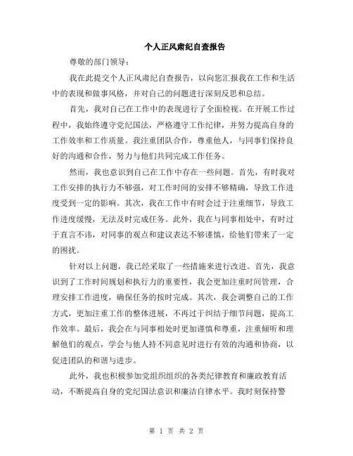 个人正风肃纪自查报告