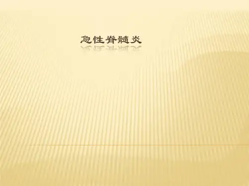 急性脊髓炎PPT课件