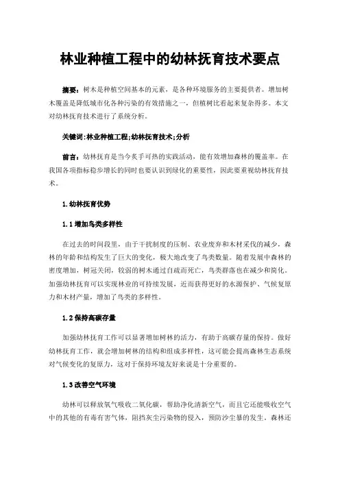 林业种植工程中的幼林抚育技术要点