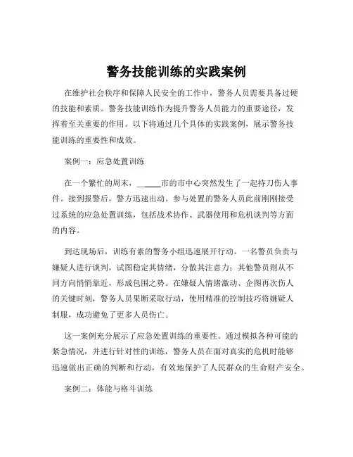警务技能训练的实践案例