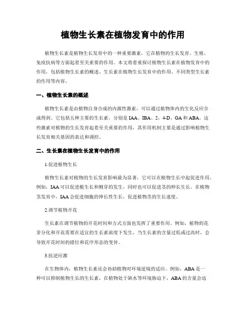 植物生长素在植物发育中的作用