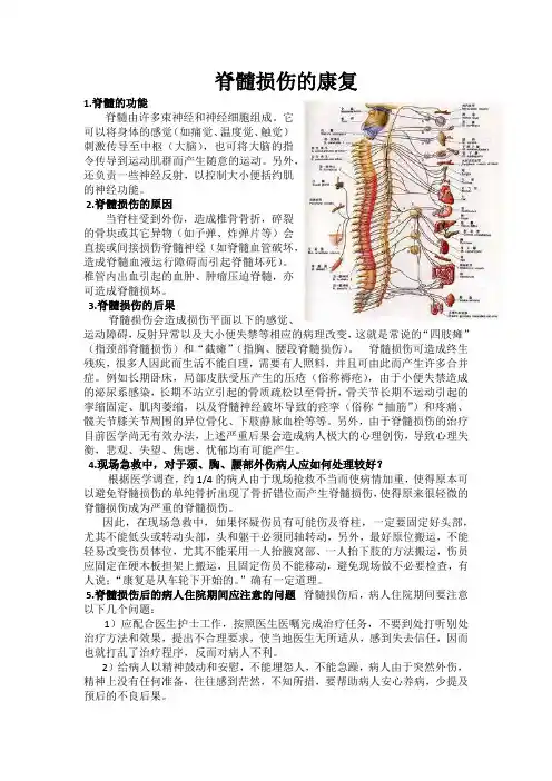 脊髓损伤的康复图文