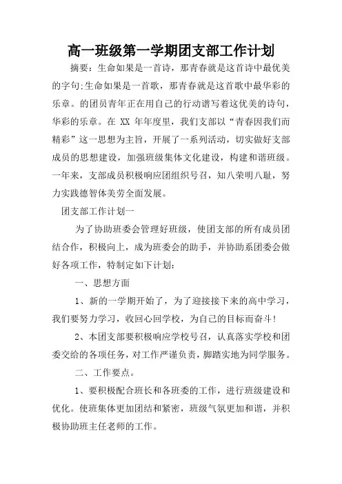 高一班级第一学期团支部工作计划