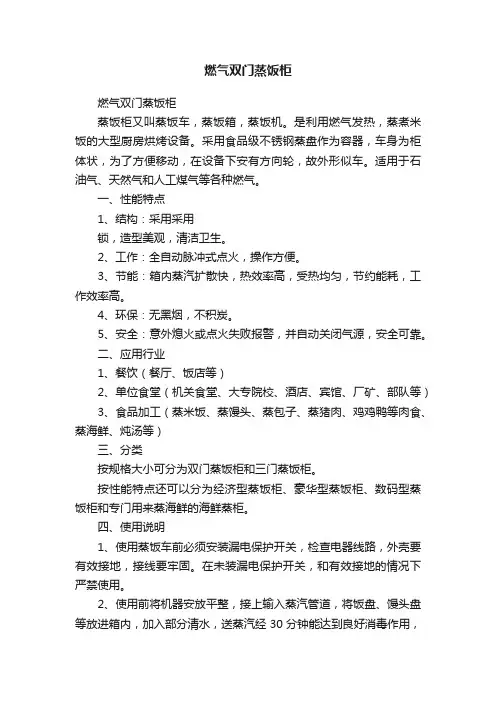 燃气双门蒸饭柜